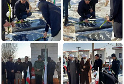 Tb W245 H165 Crop Int 19ffe9b822fd072854d1cf2a558a3f39